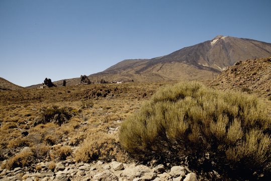 Blick zum Teide auf Teneriffa