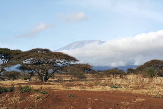 Amboseli NP Blick auf Kilimanjaro