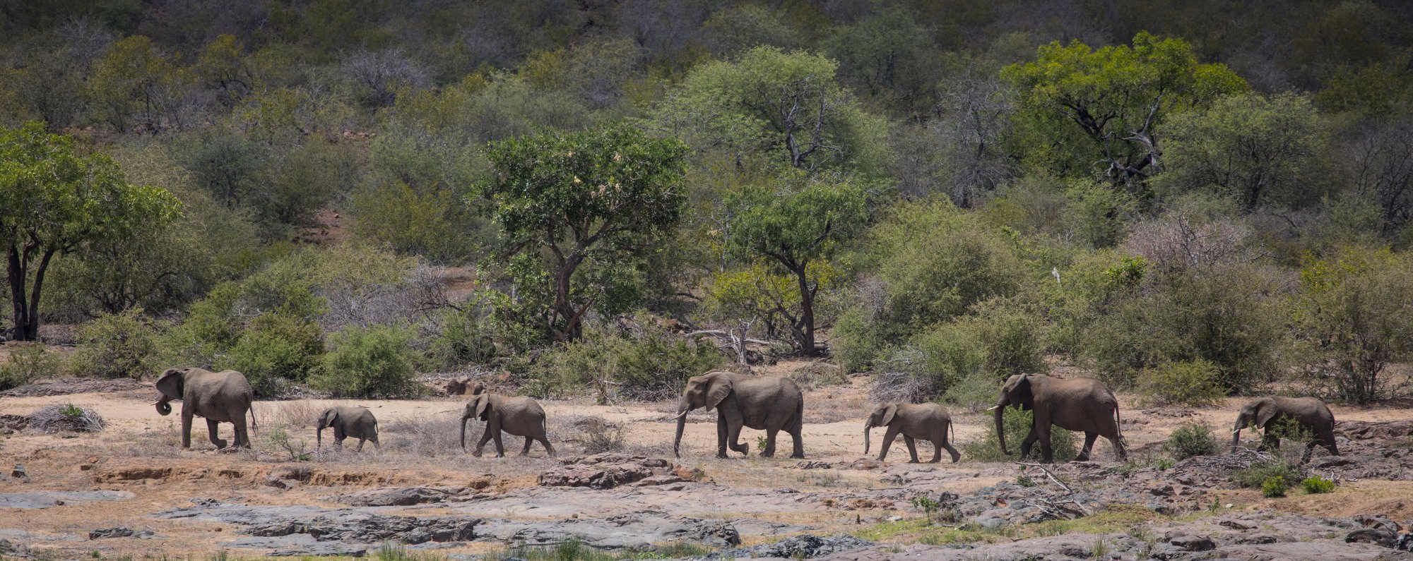 Südafrika kennenlernen