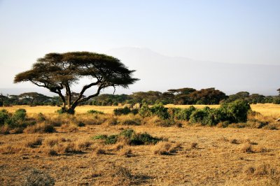 Kenia