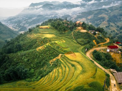 Vietnam
