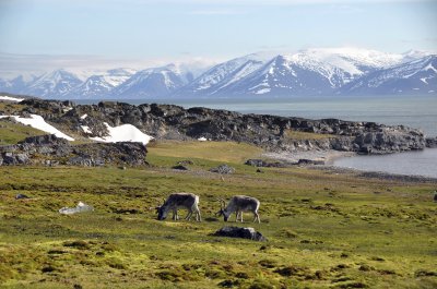 Spitzbergen