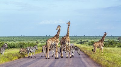 Südafrika