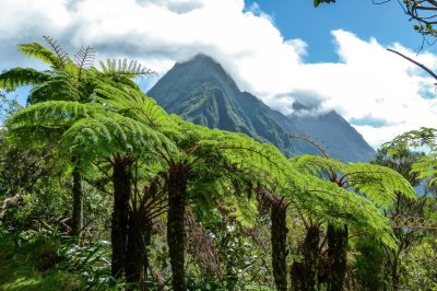 La Réunion