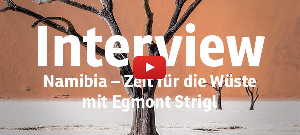 DeadVlei-Baum-Portrait-youtube; Foto: Thomas Ehl