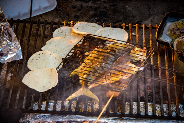Gegrillter Fisch und Tortillas; Foto: Diego Grandi/Shutterstock.com